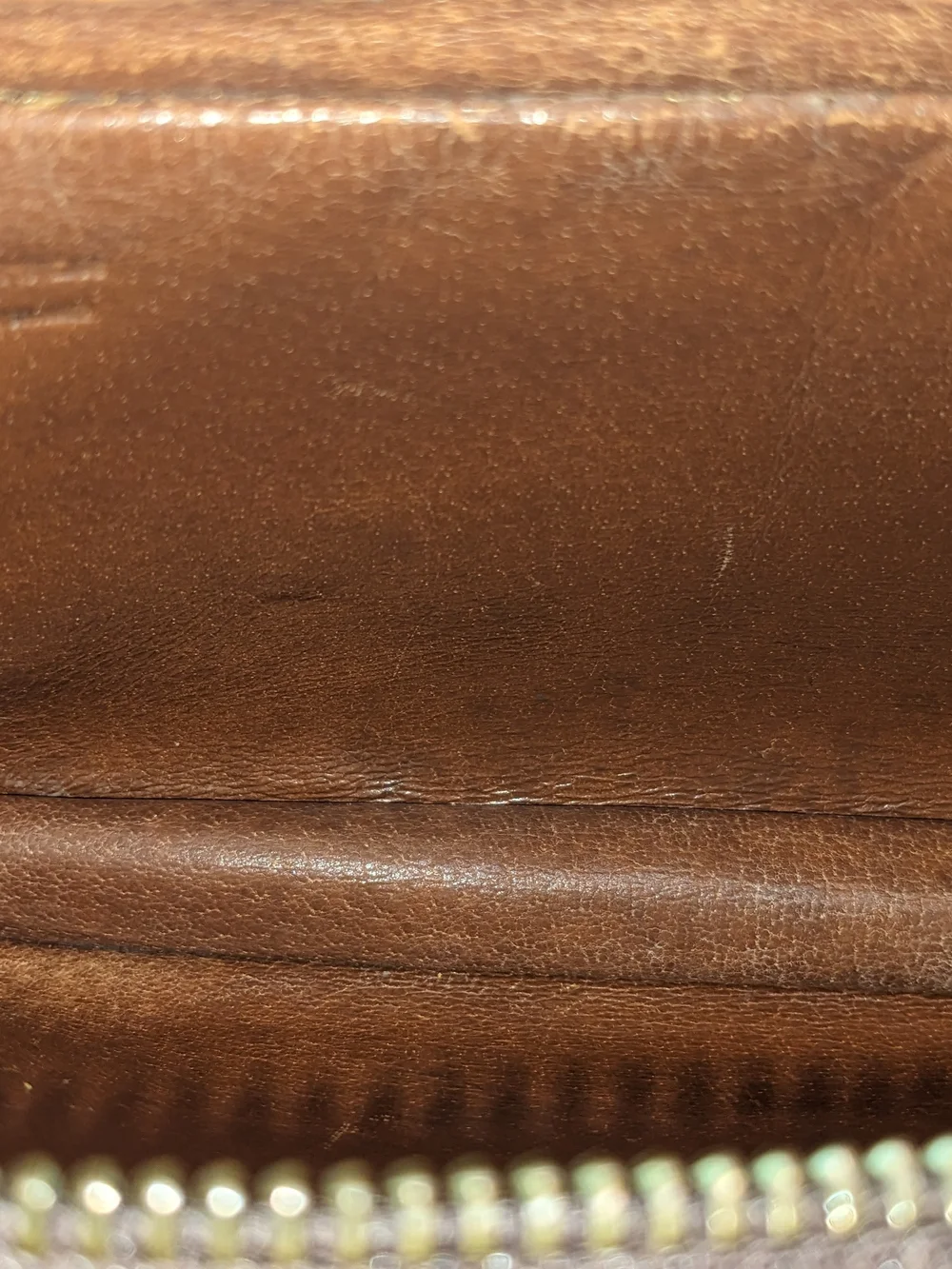 Louis Vuitton authentic louis
